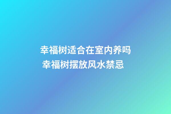 幸福树适合在室内养吗 幸福树摆放风水禁忌